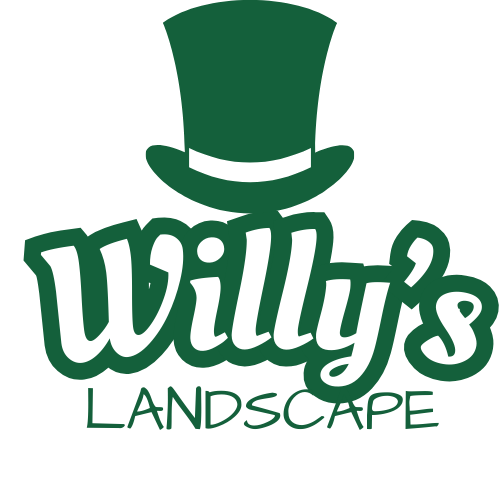 Willy's Landscape